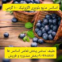 اسانس مایع بلوبری اگزاتیک 100 گرمی طعم‌ دهنده قوی