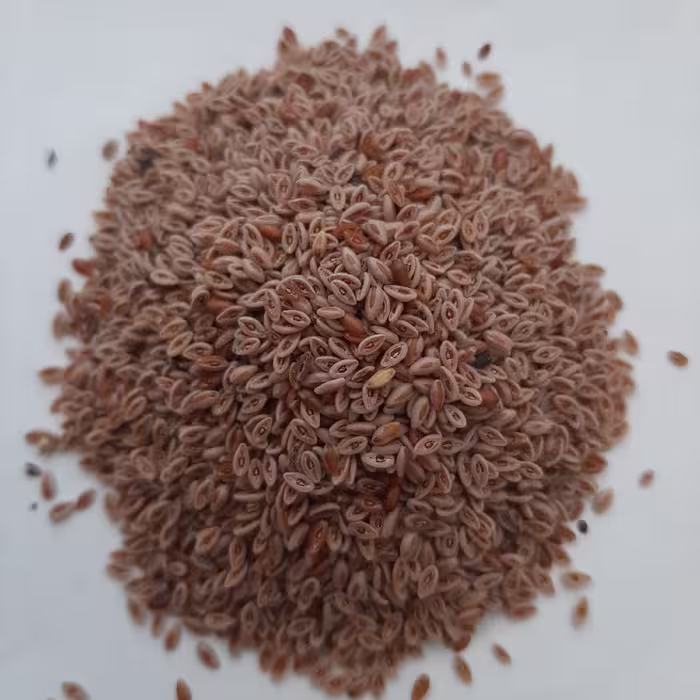 اسفرزه (100گرم)
