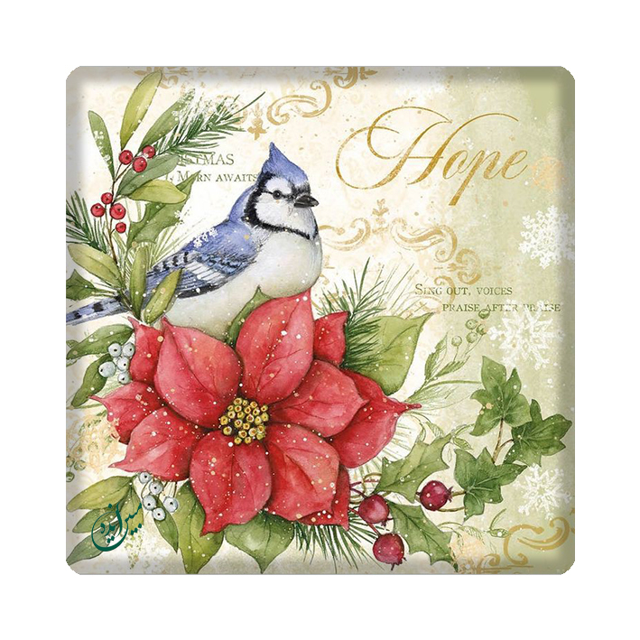 کاشی مبین ایده مدل جوجو kh10 کد 540