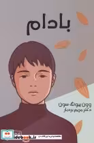 قیمت و خرید کتاب بادام نشر کتیبه پارسی | ایده بوک