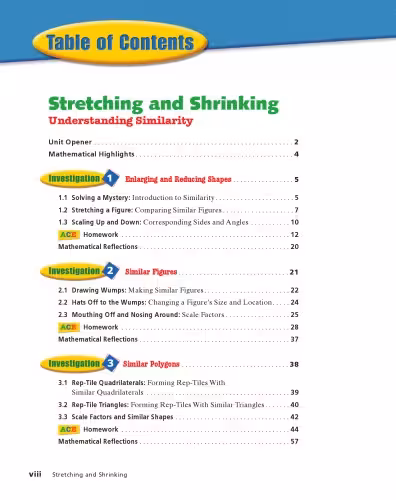 خرید و دانلود نسخه کامل کتاب Stretching &amp; Shrinking: Understanding Similarity