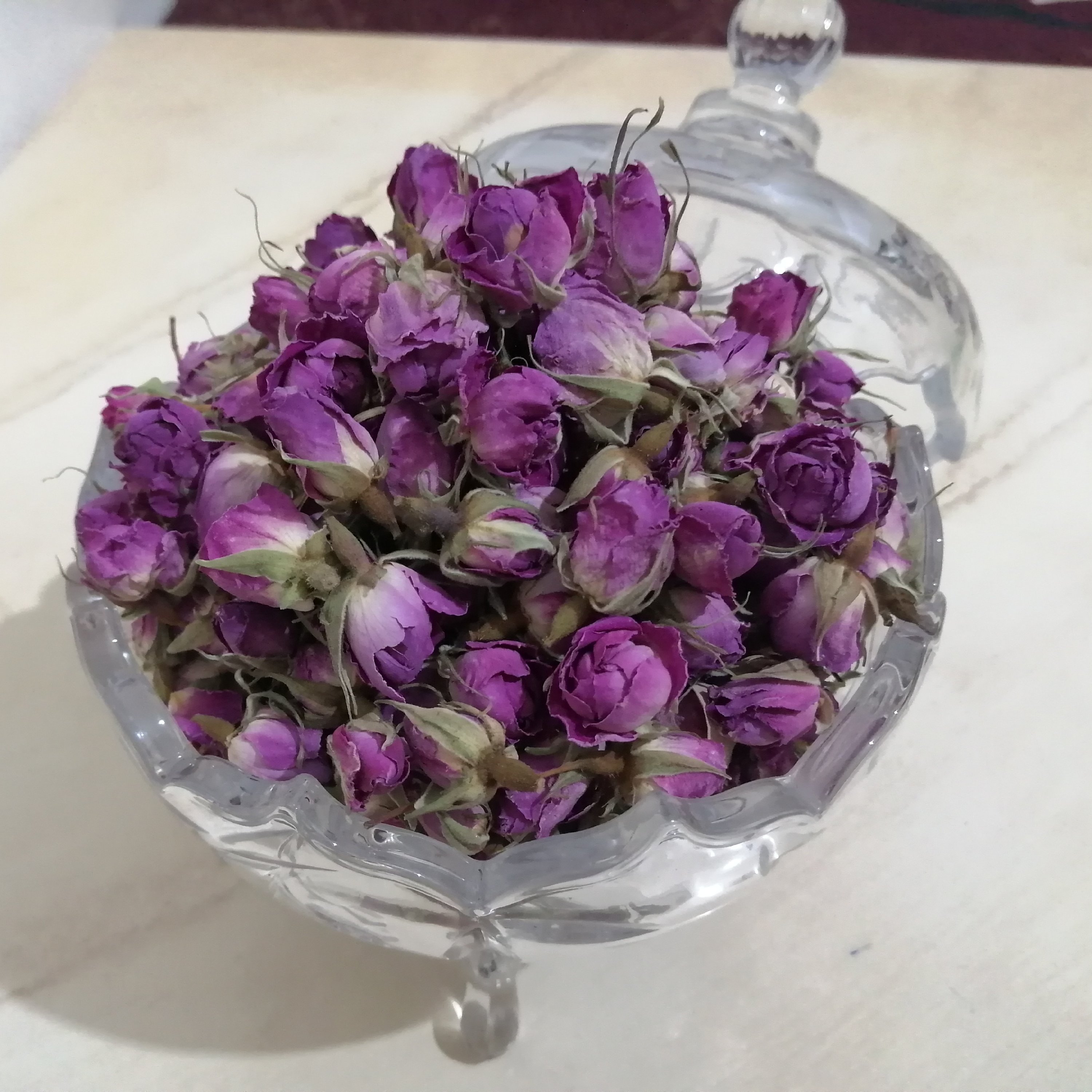 غنچه گل محمدی دستچین از باغات لاله زار کرمان 