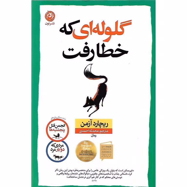 گلوله ای که خطا رفت