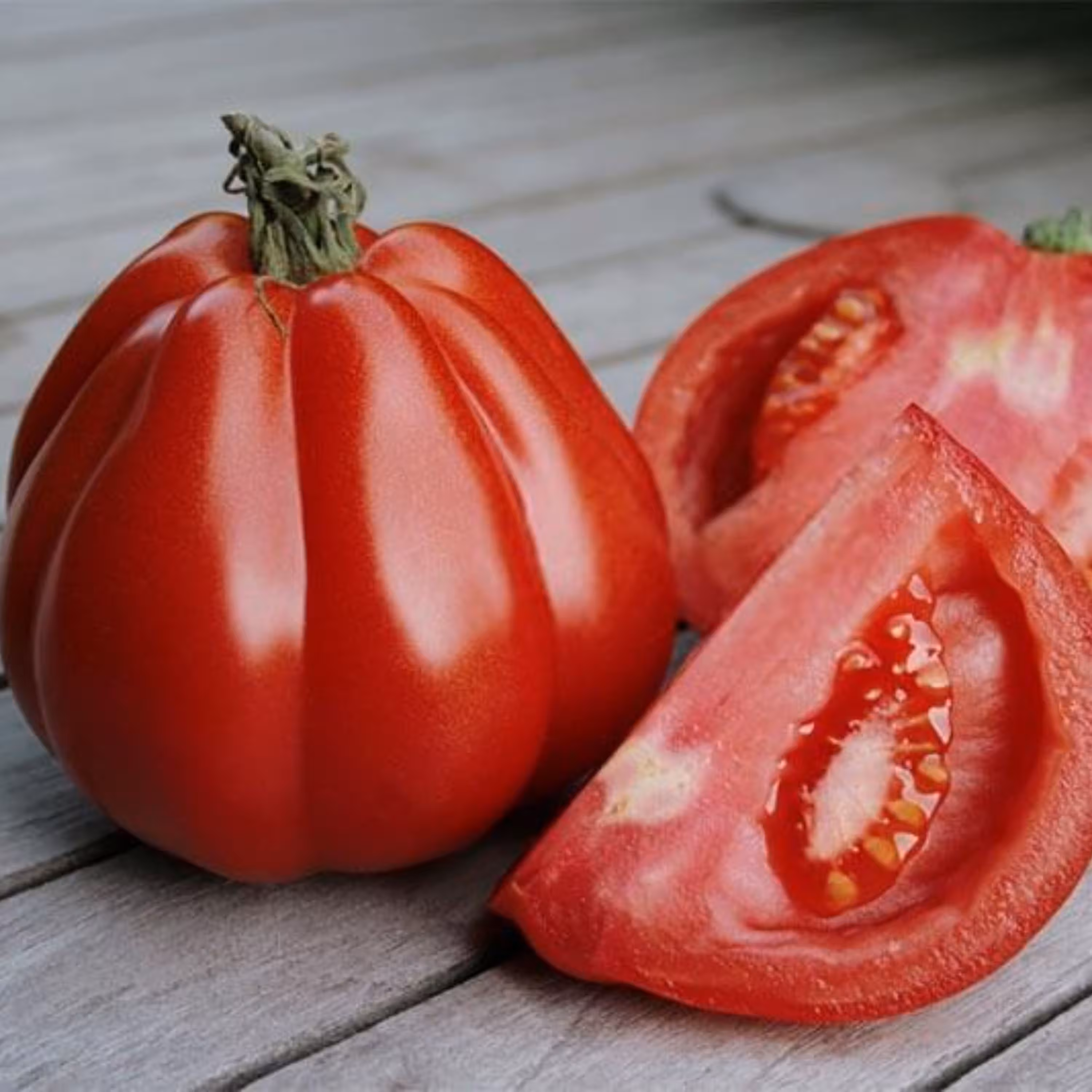 بذر گوجه فرنگی قرمز دندانه دار Gezahnte بسته 10 عددی