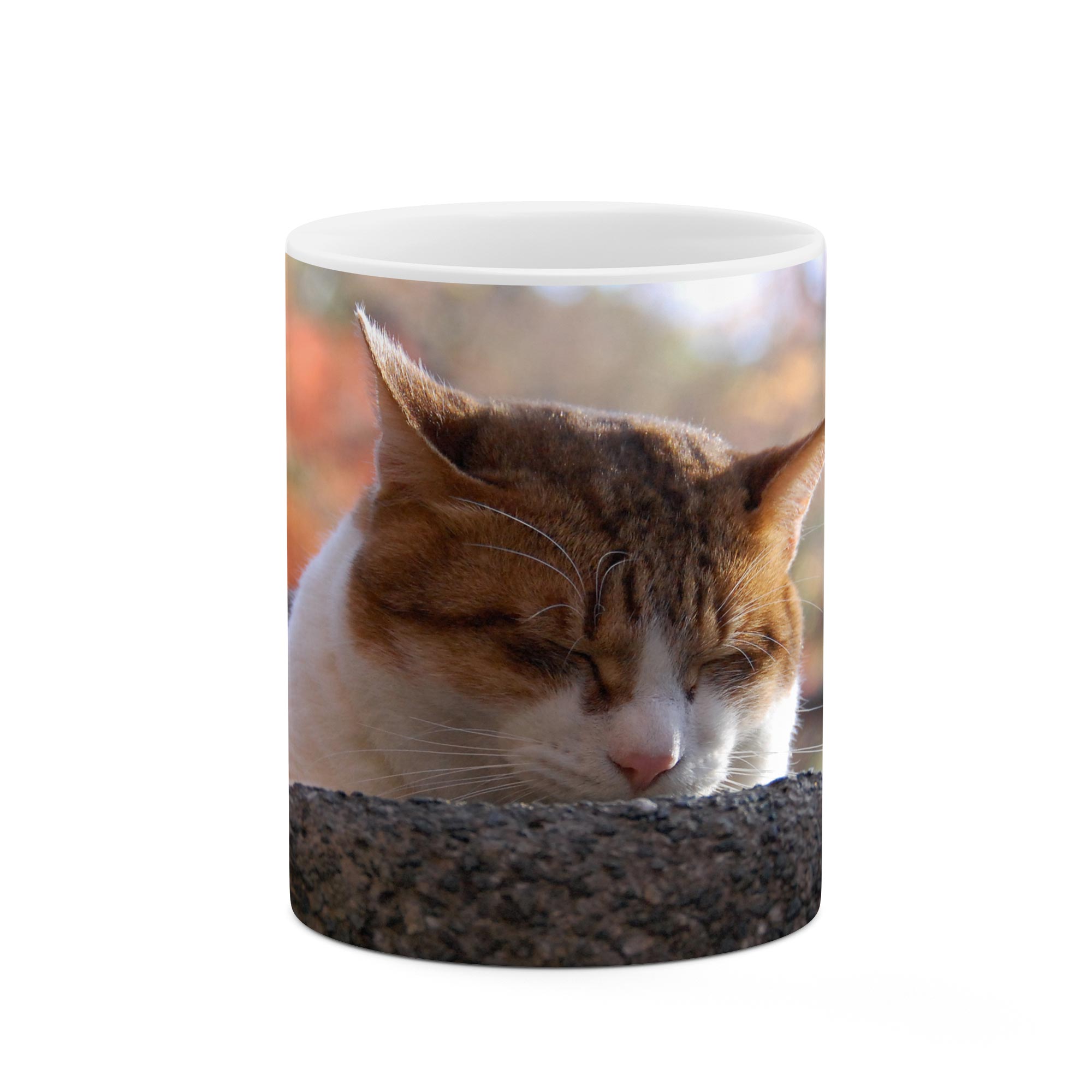 ماگ طرح گربه مدل mgp01395