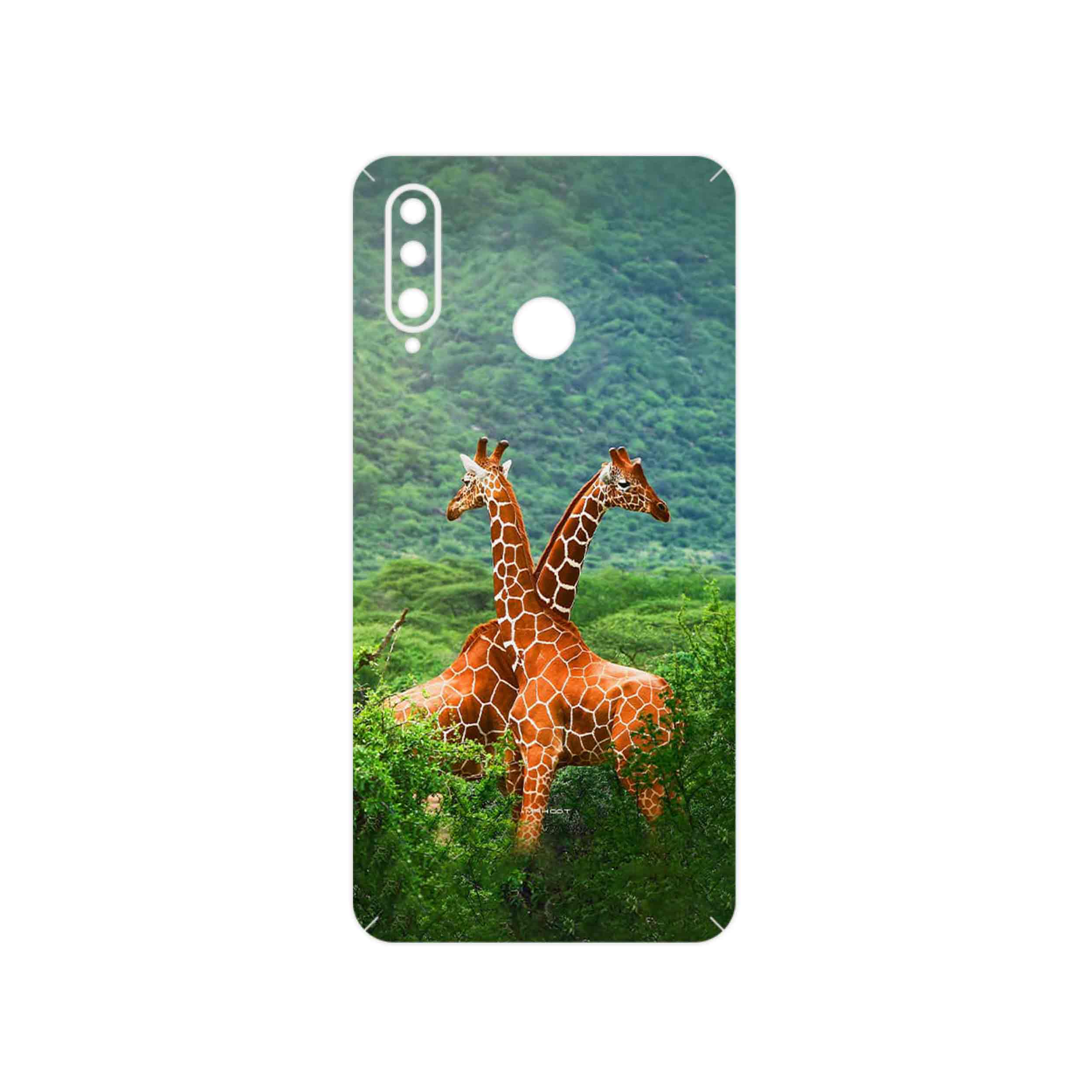 برچسب پوششی ماهوت مدل Giraffe مناسب برای گوشی موبایل هوآوی P30 Lite (48 MP Camera)