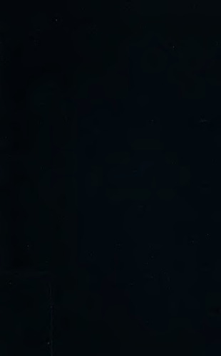 خرید و دانلود نسخه کامل کتاب The Language Complexity Game