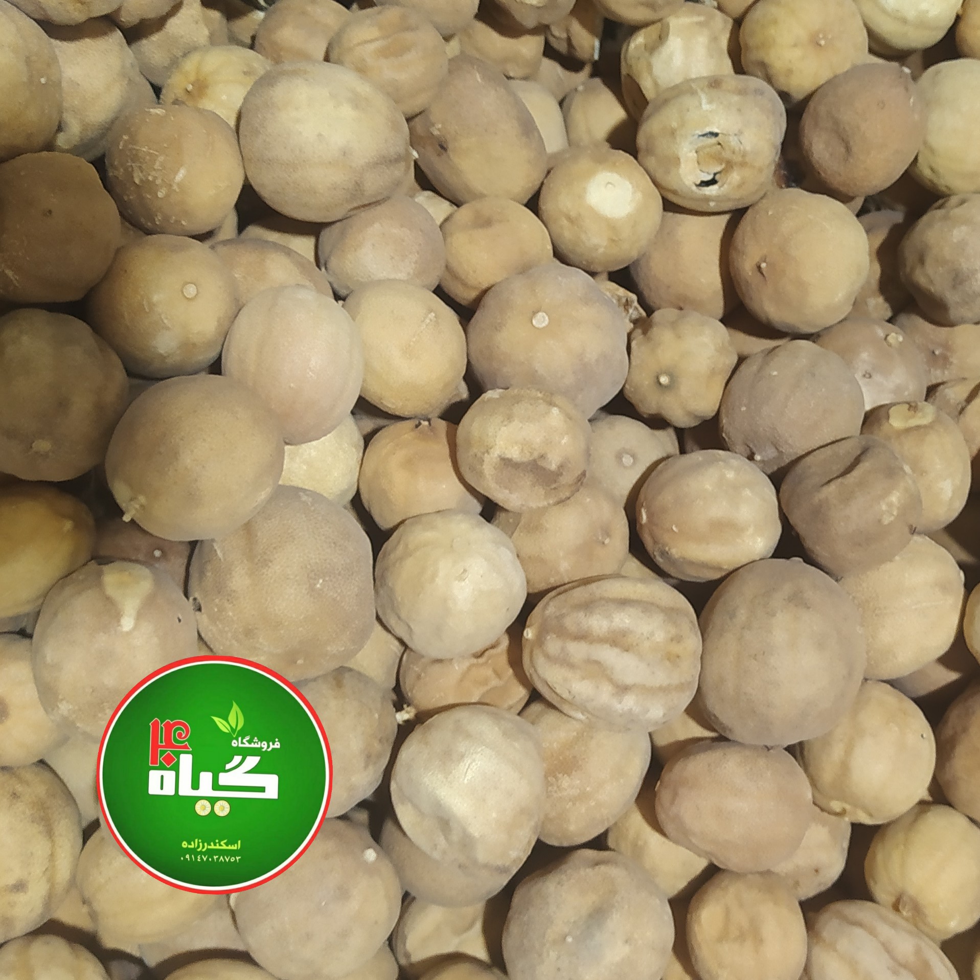 لیمو عمانی سفید ایرانی بدون شکستگی و خردی (100گرمی) عطاری چهل گیاه 