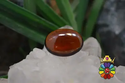 گارنت هسونیت