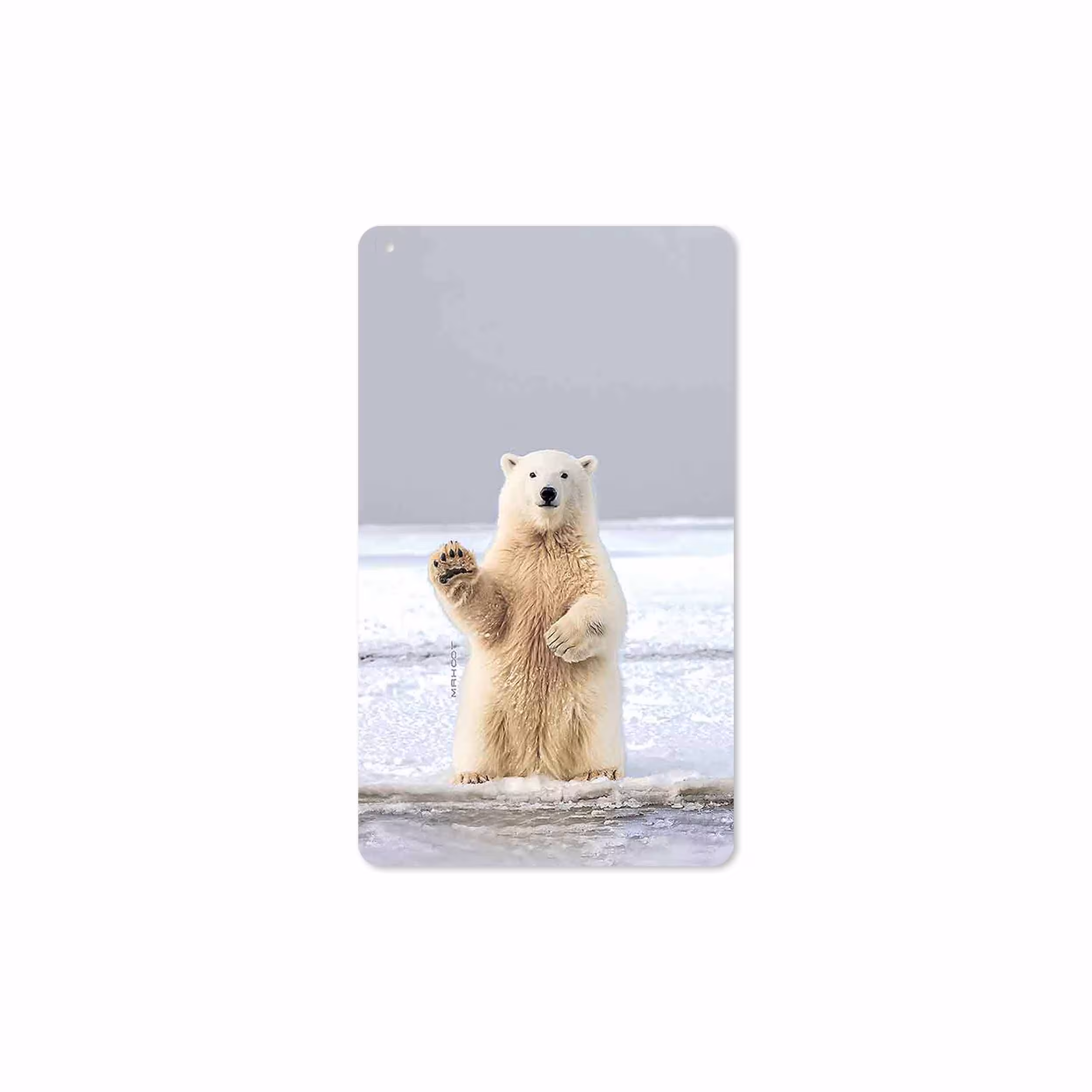 برچسب پوششی ماهوت مدل Polar bear مناسب برای تبلت سامسونگ Galaxy Tab A 8.0 2019 T295