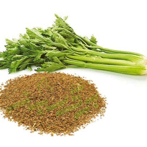 تخم کرفس 100 گرم مناسب کاهش وزن