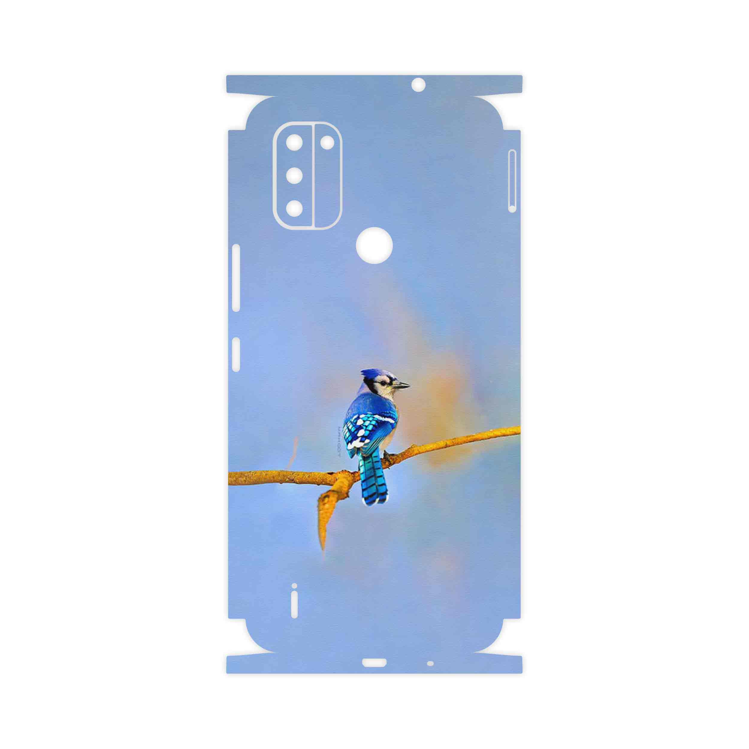 برچسب پوششی ماهوت مدل Cyanocitta cristata-FullSkin مناسب برای گوشی موبایل نوکیا C31