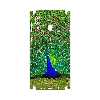 برچسب پوششی ماهوت مدل Peacock-FullSkin مناسب برای گوشی موبایل سامسونگ Galaxy M20