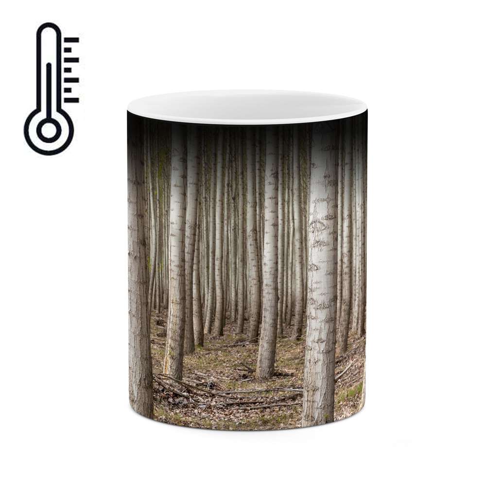 ماگ حرارتی طرح منظره رویایی و زیبا  مدل mgph14689