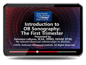 Gulfcoast Introduction to OB Sonography – The First Trimester at 15€ - کتاب پزشکی بهار
