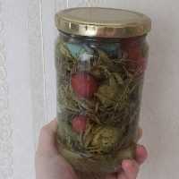 ترشی کالک ریز