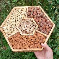 آجیل چهارمغز خام کیفیت اعلاء 1کیلویی(1000گرم)