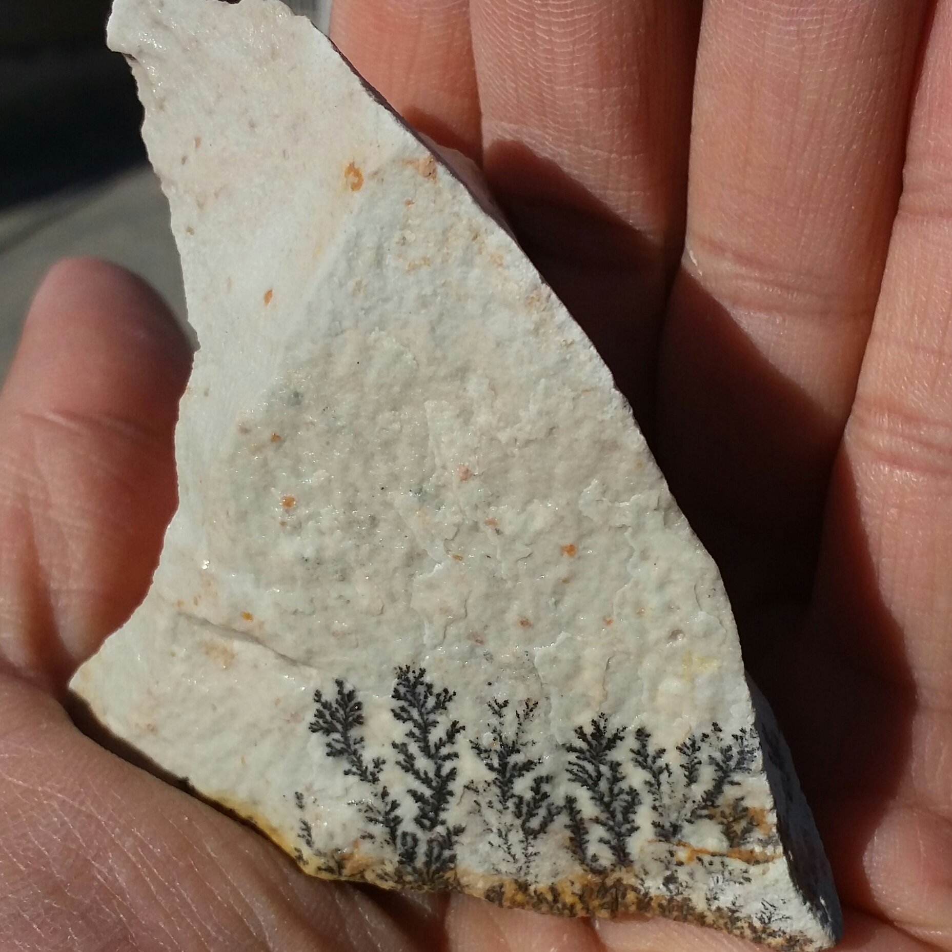 سنگ راف 100 در 100 طبیعی شجر دندریتی یا فسیلی محششر  شااهکار رخلقت
شجر واضح خاااا اا ا ااص
نمونه ای بسیااار  زیبا
