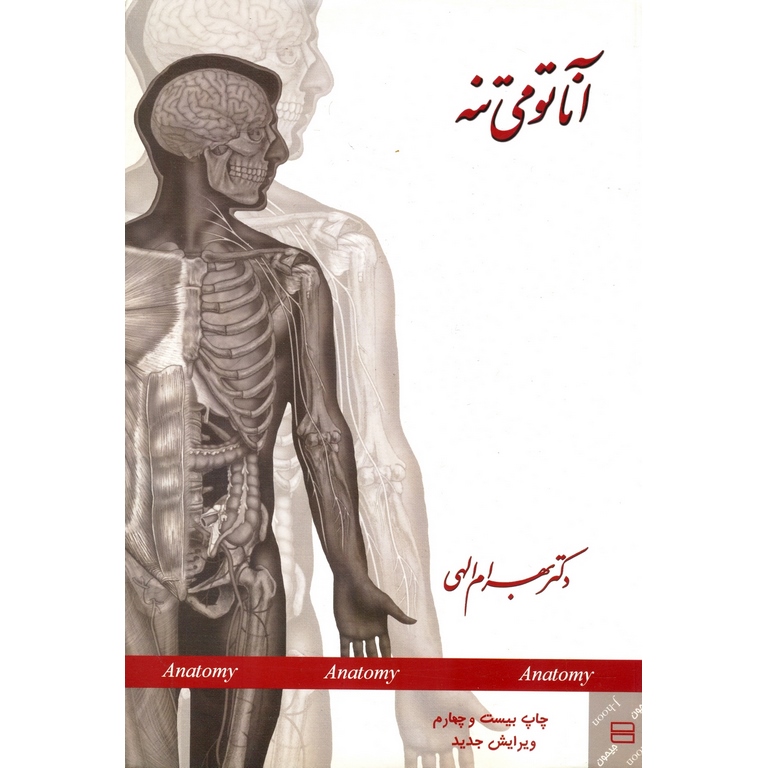 آناتومی تنه (ویرایش جدید)