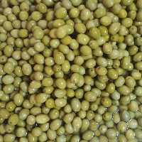 زیتون کنسروی سوپرویژه درشت6.800کیلو ارسال رایگان