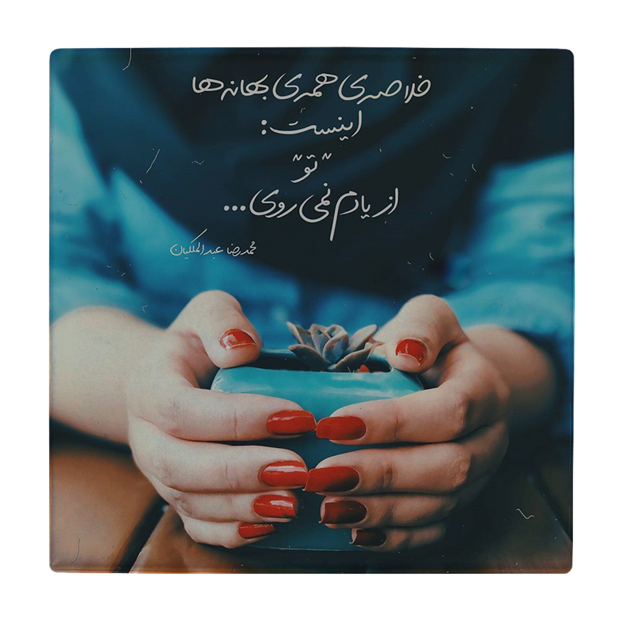 کاشی طرح گلدان کاکتوس کد wk120