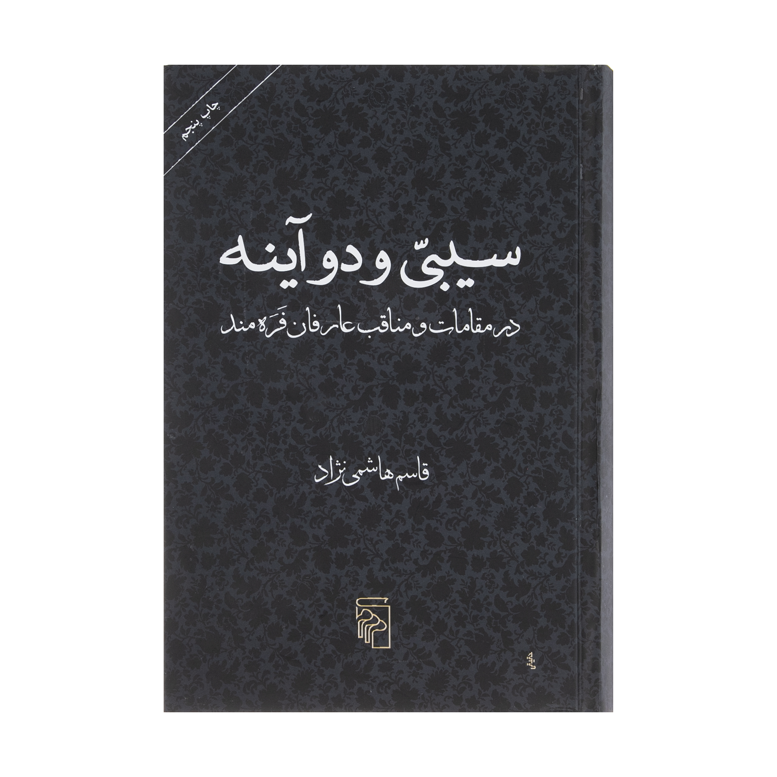 کتاب سیبی و دو آینه اثر قاسم هاشمی نژاد نشر مرکز