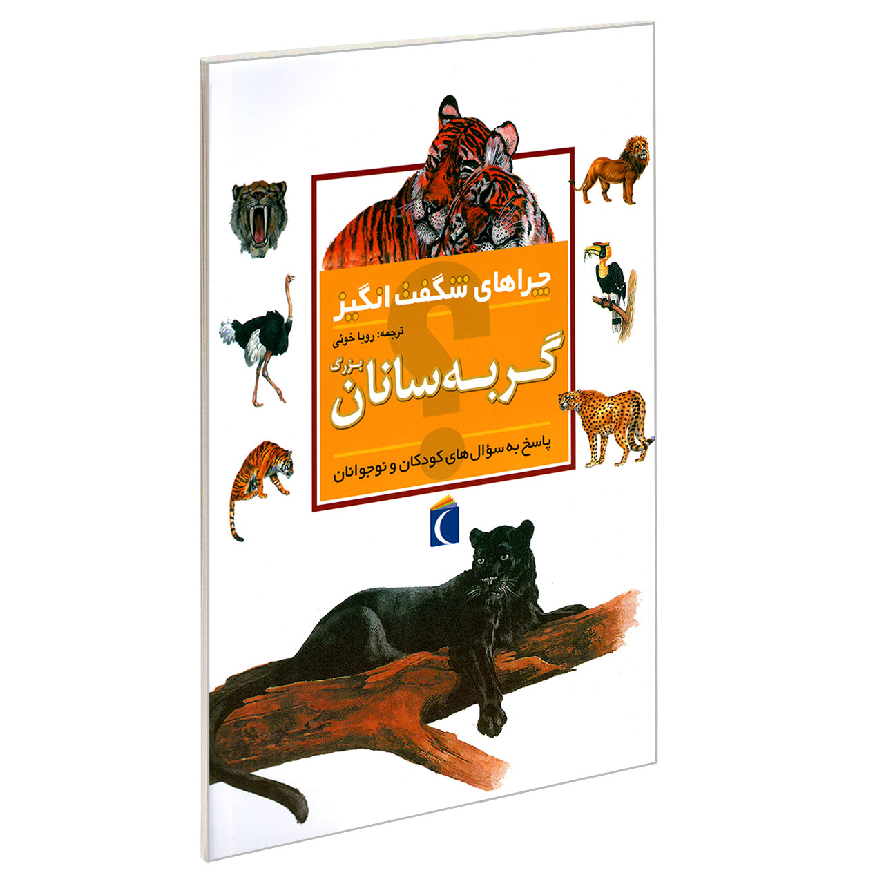 کتاب چراهای شگفت انگیز گربه سانان بزرگ اثر کریستین گانزی نشر محراب قلم