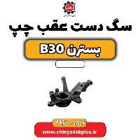 سگ دست عقب چپ بسترن B30