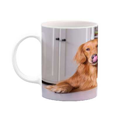 ماگ کاکتی طرح سگ و گربه مدل mgs14425