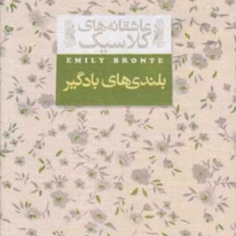 کتاب بلندی ‎ها ی‎ باد گیر