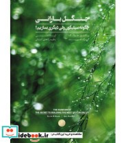 خرید کتاب جنگل بارانی چگونه سیلیکون ولی دیگری بسازیم | ایده بوک