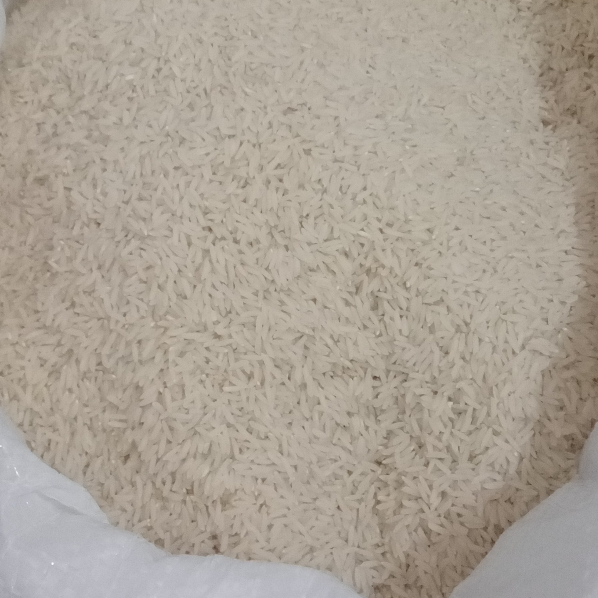 برنج هاشمی اصل مشکین شهر