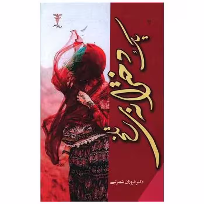 کتاب یک دخترانه تلخ اثر فروزان شهرکی