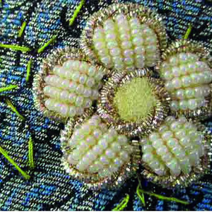 منجوق طرح سرمه کد SER228 بسته 800 عددی