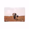 برچسب پوششی ماهوت مدل Elephant مناسب برای تبلت سامسونگ Galaxy Tab S2 9.7 2016 T819N