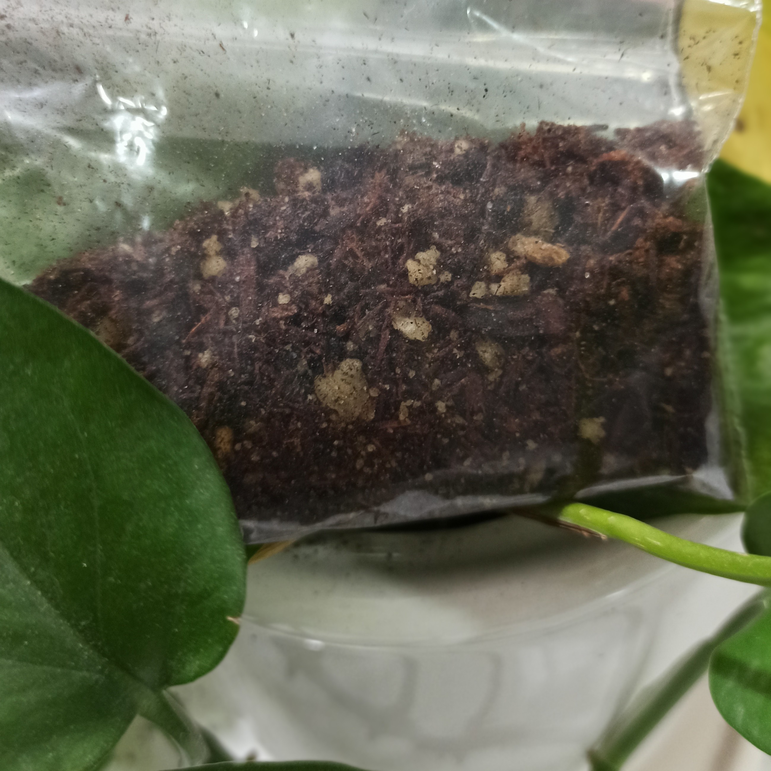 بخور دست ساز و ترکیبی عربی 50گرمی 