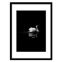 قیمت و خرید ‌‌‌‌تابلو دکوراتیو مدل قو و دریاچه کد 2257