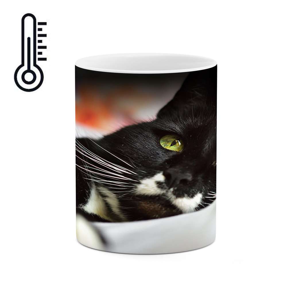 ماگ حرارتی کاکتی طرح گربه مدل mgh17980