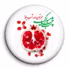 پیکسل گالری باجو طرح یلدا کد yalda 54