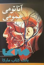 آناتومی عمومی موثقی آییژ