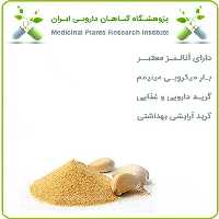 عصاره سیر خشک یا پودری