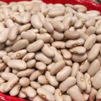 لوبیا کپسولی900گرمی ،ارسال رایگان سه خرید یک محصول هدیه