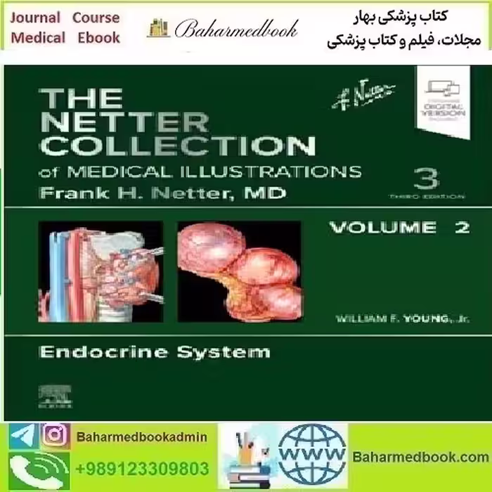 The Netter Collection of Medical Illustrations Endocrine System