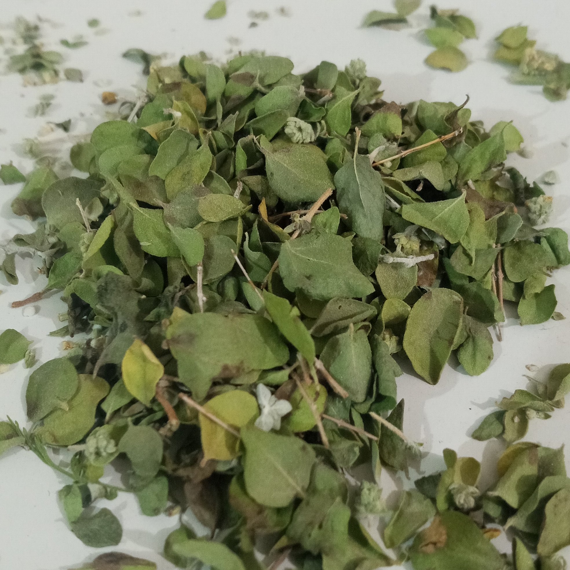 آویشن شیرازی (100 گرمی)