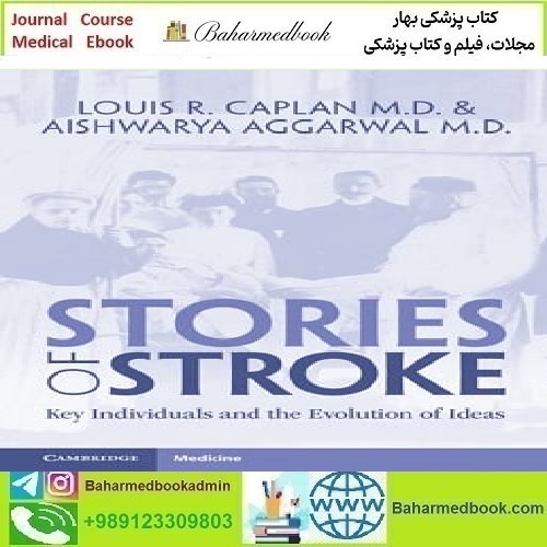 Stories of Stroke Key