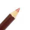 مداد لب گلدن فیشر شماره 119 