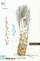 قیمت و خرید کتاب دست بردن زیر لباس سیب | ایده بوک