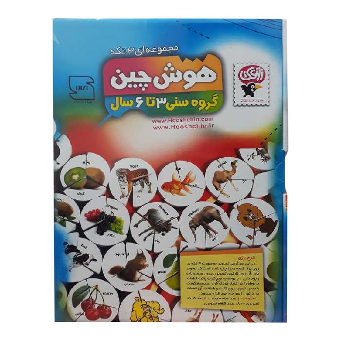 بازی آموزشی زاغک مدل هوش چین 03 کد 017 | چاوه