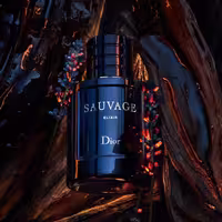 عطر گرمی مردانه ساواج الکسیر