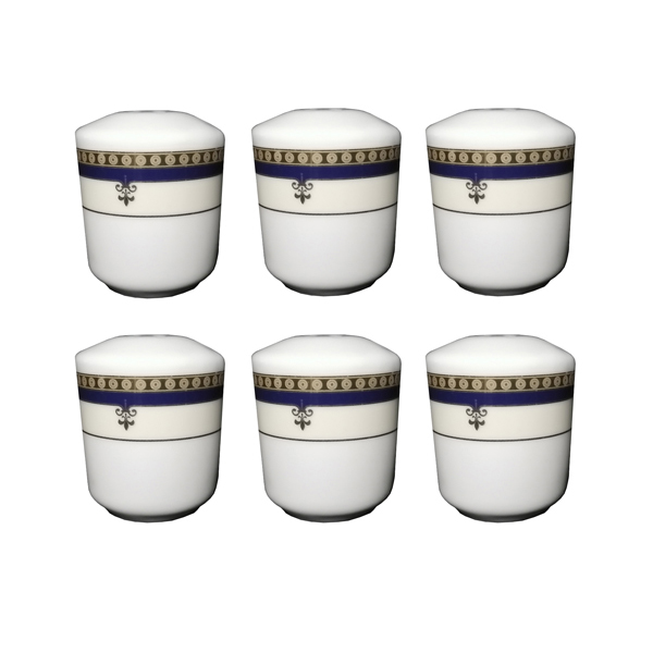 نمک پاش چینی زرین ایران طرح ونوس بسته 6 عددی